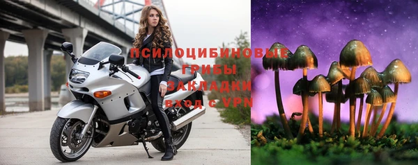 хмурый Верхний Тагил