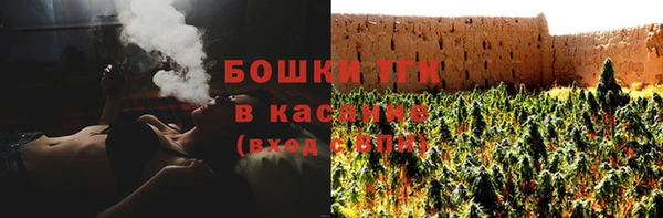 хмурый Верхний Тагил