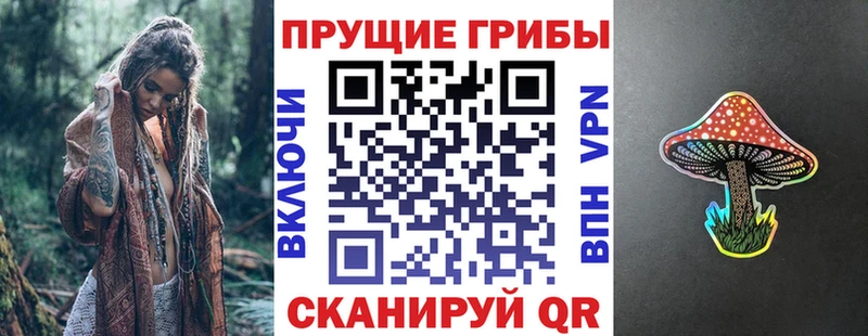 Галлюциногенные грибы прущие грибы  Канск 